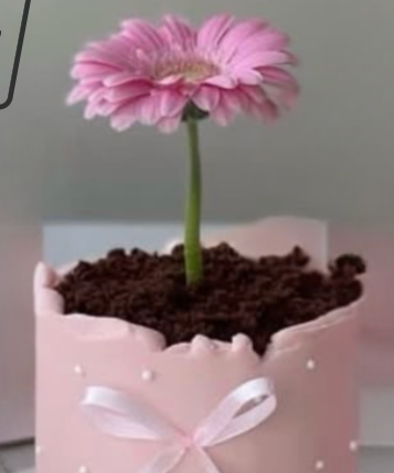 Mother's Day Flower Pot Cake